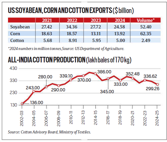Us Seeks Greater Market Access In India For Soyabean, Corn, And Cotton Amid Trade Barriers