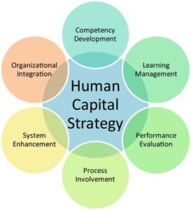 Human Capital Strategy
