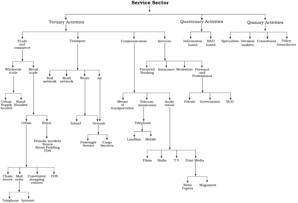 Types Of Teritary Activities