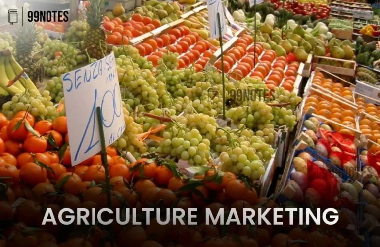 Agriculture Marketing