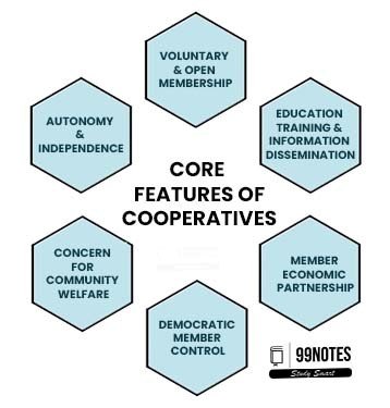 Core Features Of Cooperatives