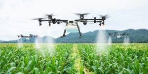 Green Revolution In India | Updated May 12, 2025
Phases Of Green Revolution