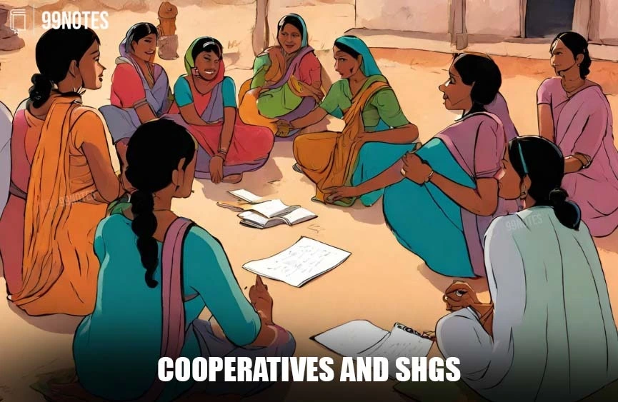 Development &Amp; Stakeholders | Updated May 18, 2025 Cooperative Sghs