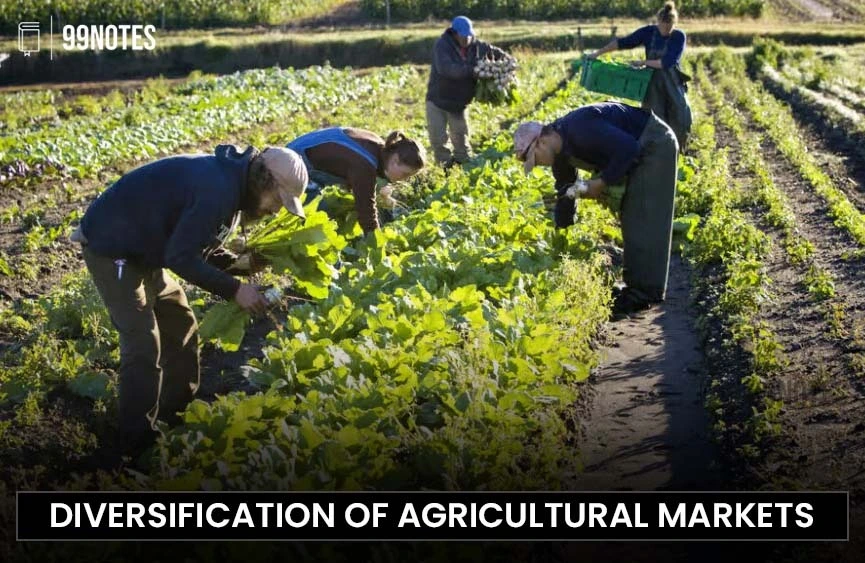 Agriculture Industries And Marketing | Updated June 17, 2025 Diversification Of Agriculture Markets