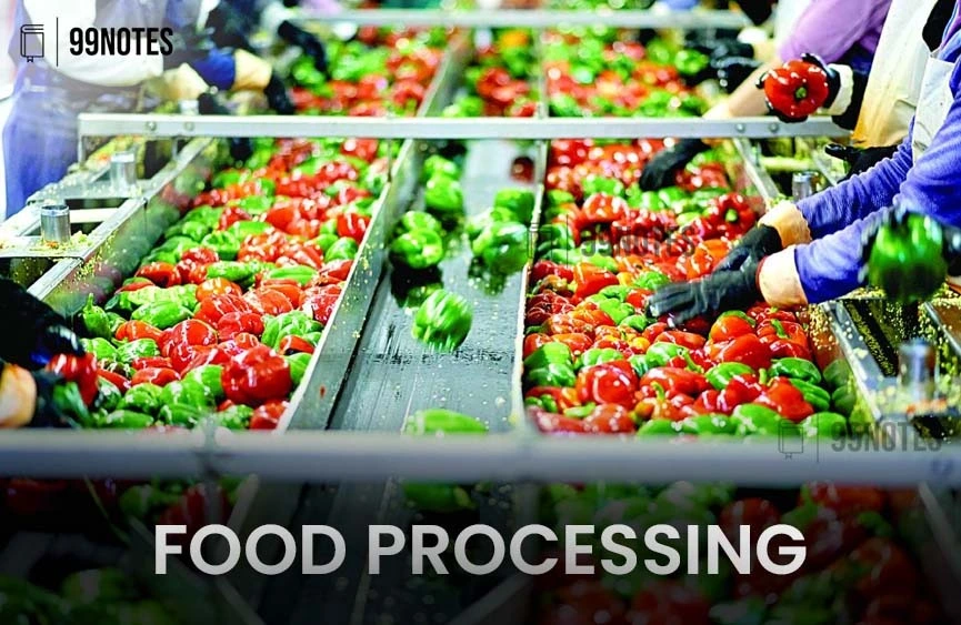 Agriculture Industries And Marketing | Updated June 17, 2025 Food Processing