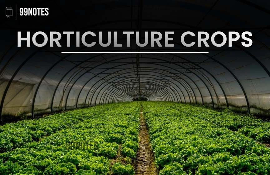 Horticulture Crops