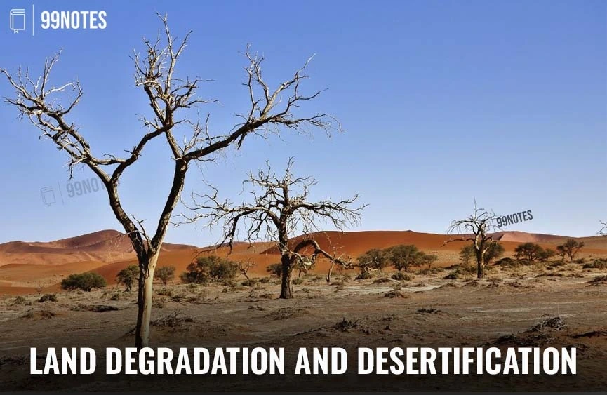 Vegetation And Wildlife Conservation | Updated May 3, 2025 Land Degradation And Desertification