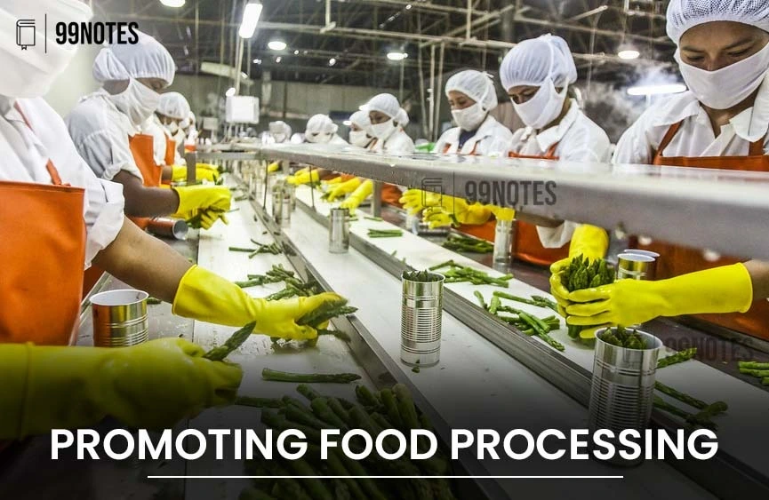Agriculture Industries And Marketing | Updated June 17, 2025 Promoting Food Processing