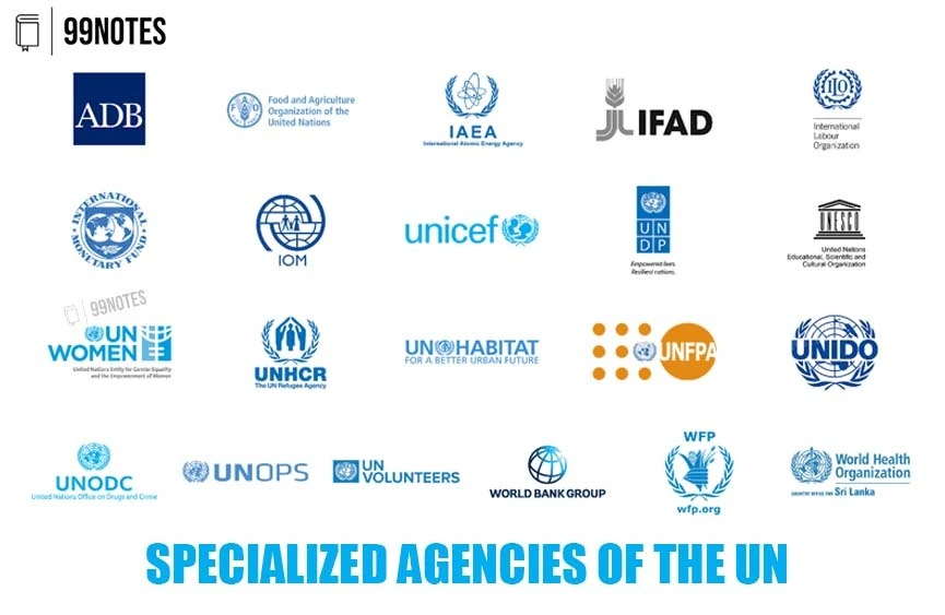 Specialized Agencies Of Un