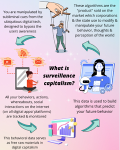 Everything You Need To Know About