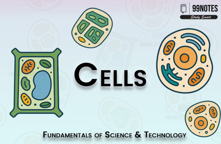 Cells