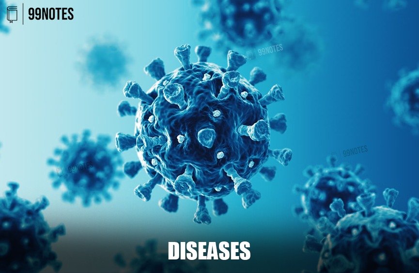 Applications In Eveyday Life | Updated June 20, 2025 Diseases
