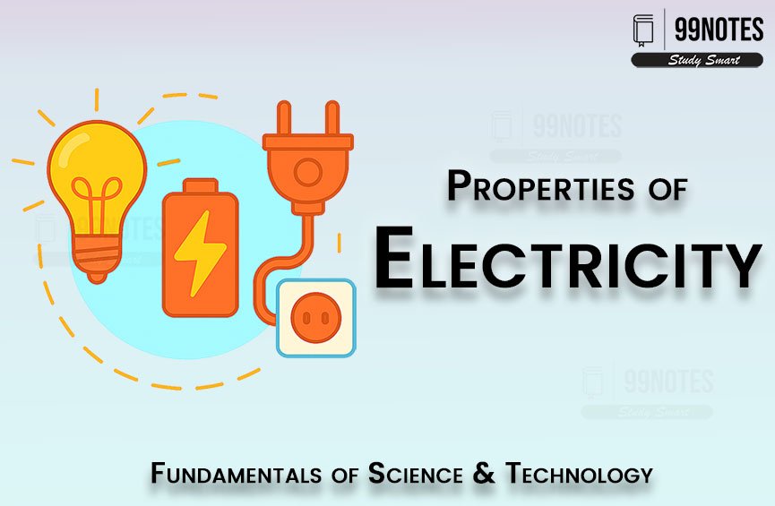 Basic Science | Updated July 9, 2025 Everything You Need To Know About