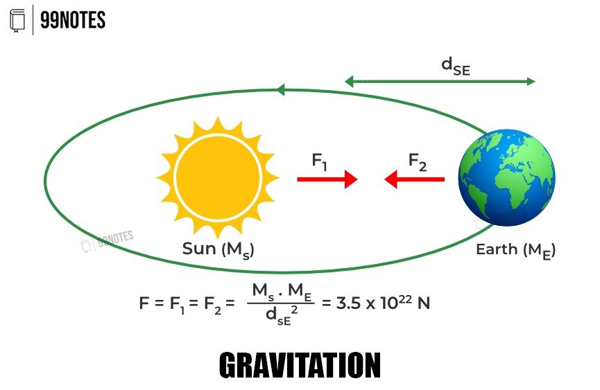 Basic Science | Updated July 9, 2025 Everything You Need To Know About