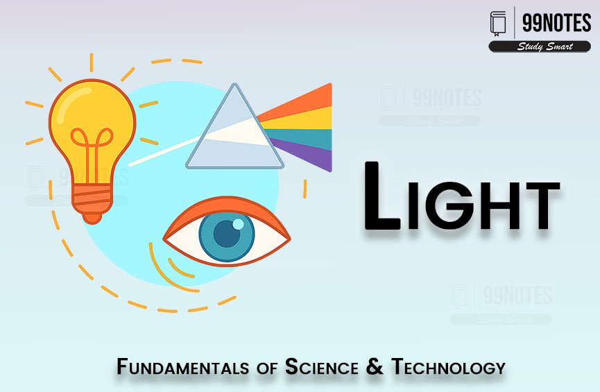 Basic Science | Updated July 9, 2025 Everything You Need To Know About
