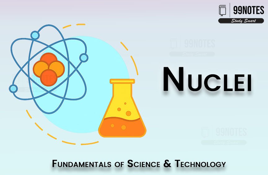 Basic Science | Updated July 9, 2025 Everything You Need To Know About