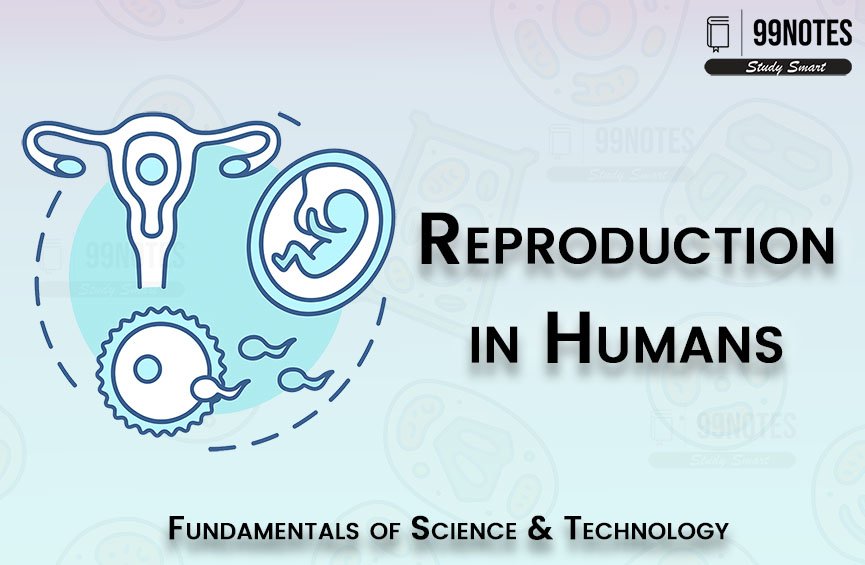 Basic Science | Updated July 9, 2025 Everything You Need To Know About