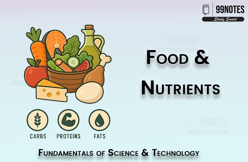Food And Nutrients