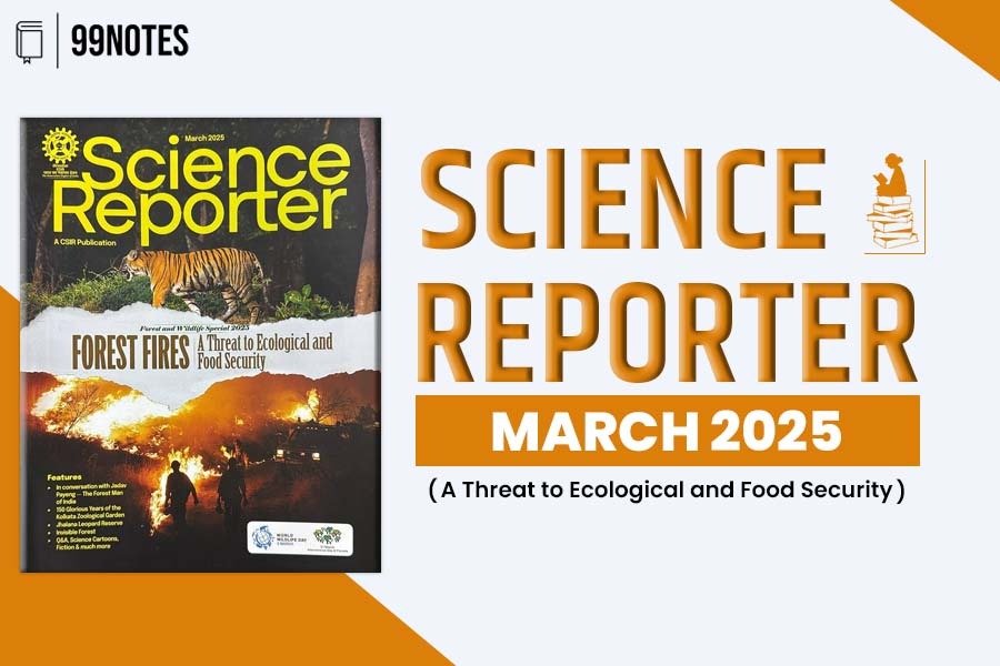 Science Reporter | Updated June 19, 2025 Everything You Need To Know About
